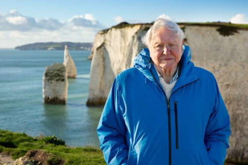 Ozean mit David Attenborough Piece of Magic Entertainment