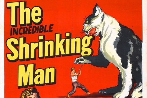 Die unglaubliche Geschichte des Mister C. (1957) Univeral Int.