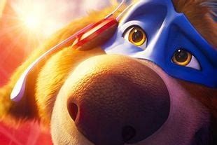 Charlie der Superhund Splendid Film